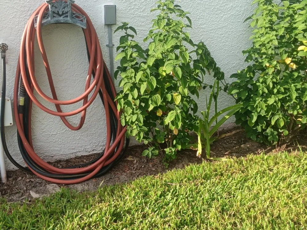 Custom yard cleanup service for residential properties across San Antonio, FL - Hayah Creations