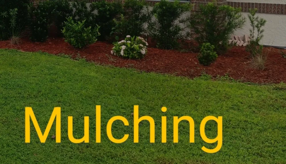 Professional lawn mowing service in San Antonio, FL by Hayah Creations