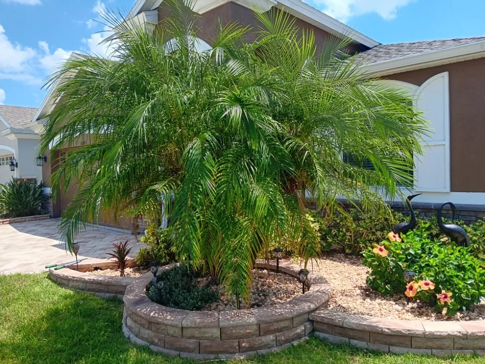 Reliable residential landscaping with custom design in San Antonio, FL by Hayah Creations