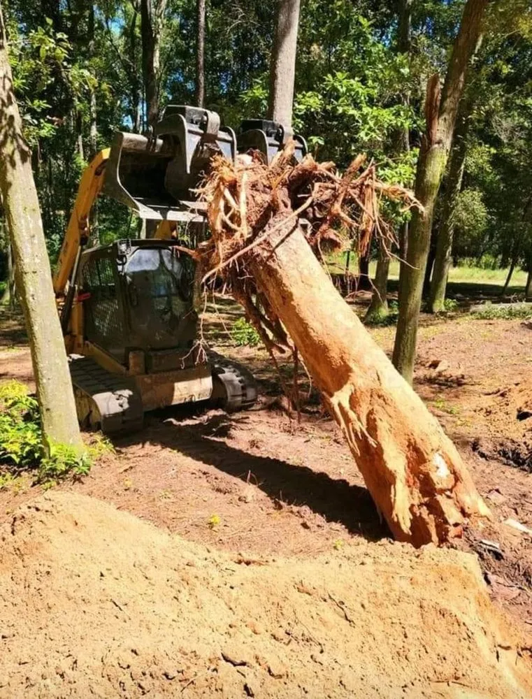 Trusted yard cleanup service experts serving Spanish Fort, AL - Haycox Clearing and Mulching