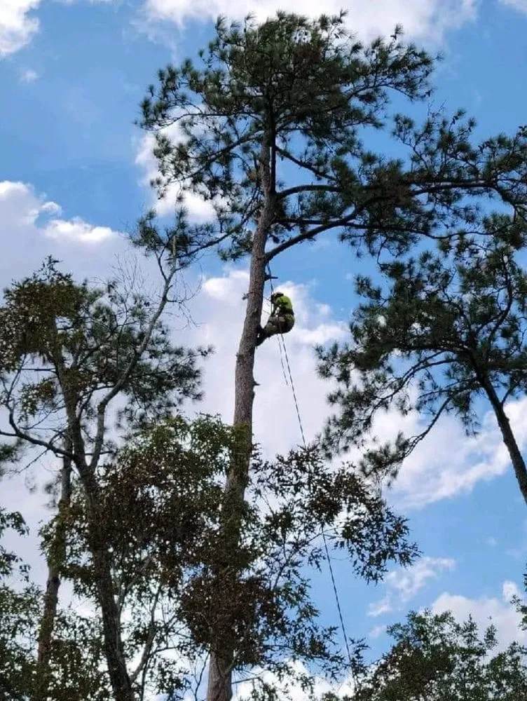 Expert lawn mowing service experts serving Spanish Fort, AL - Haycox Clearing and Mulching