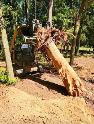 Haycox Clearing and Mulching