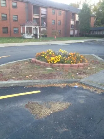 Expert landscape design for outdoor upgrades across North Huntingdon, PA - Hayden Hardscape