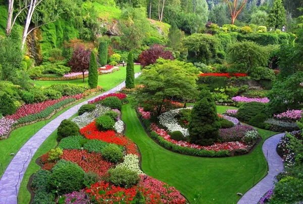 Top-rated outdoor landscaping with custom design in Lynchburg, VA by Hayden Tree & Landscape Services