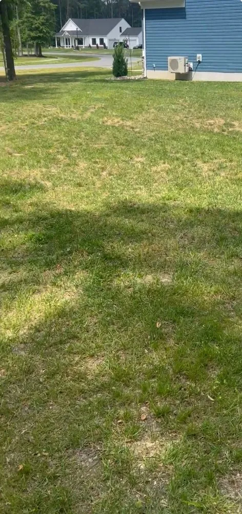 Custom landscape design near you across Georgetown, DE - Haydens lawn and landscaping