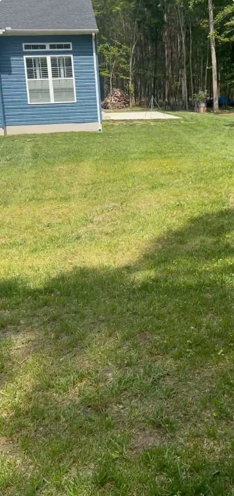 Professional landscape design for year-round maintenance in Georgetown, DE by Haydens lawn and landscaping