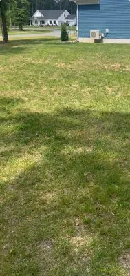 Haydens lawn and landscaping Logo