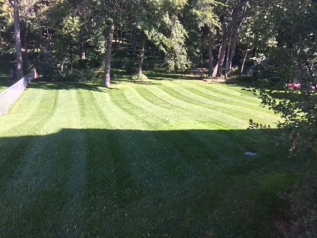 Affordable outdoor landscaping for beautiful yards across Burnsville, MN - Hayden's Professional Services