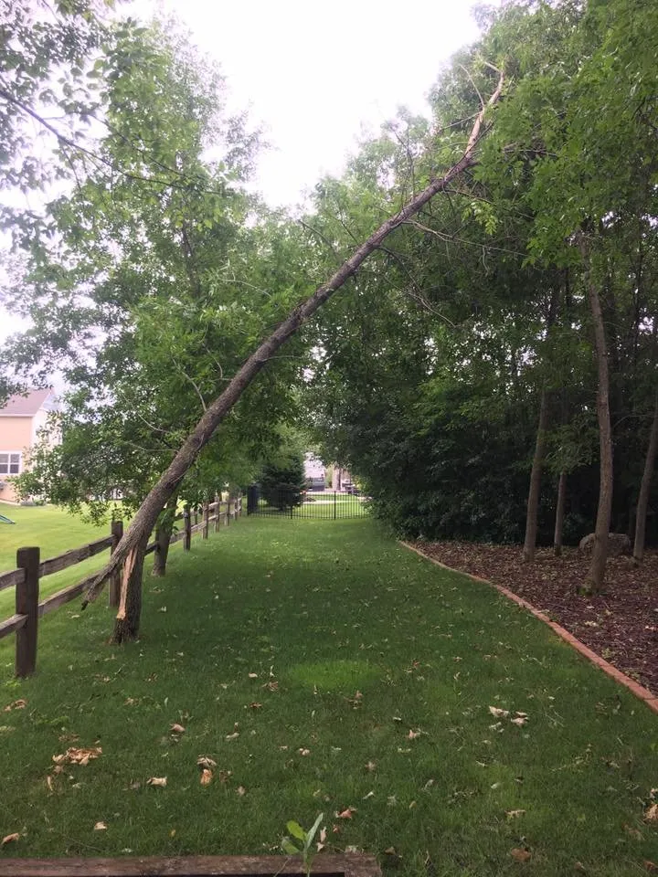 Local lawn care service in Burnsville, MN - Hayden's Professional Services