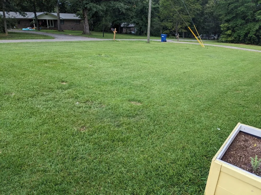 Custom yard cleanup service for outdoor upgrades across Anniston, AL - Hayes & Hayes Lawn Firm