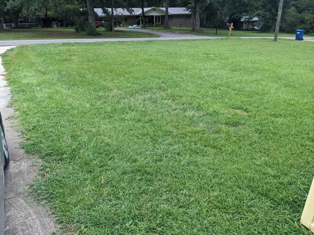 Top-rated landscaping services for homes across Anniston, AL - Hayes & Hayes Lawn Firm