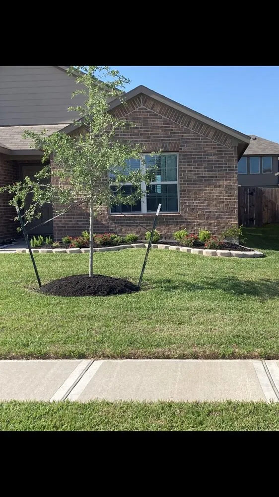 Reliable lawn care service in Katy, TX - Hayes Landscape and Exterior Services