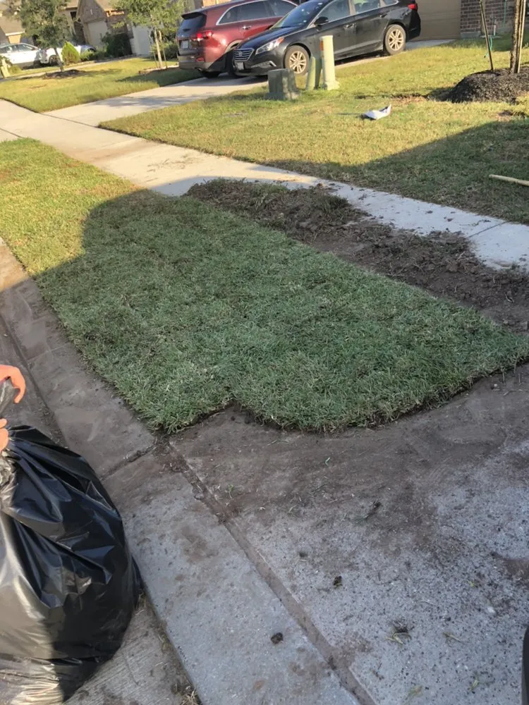 Reliable yard maintenance in Katy, TX - Hayes Landscape and Exterior Services