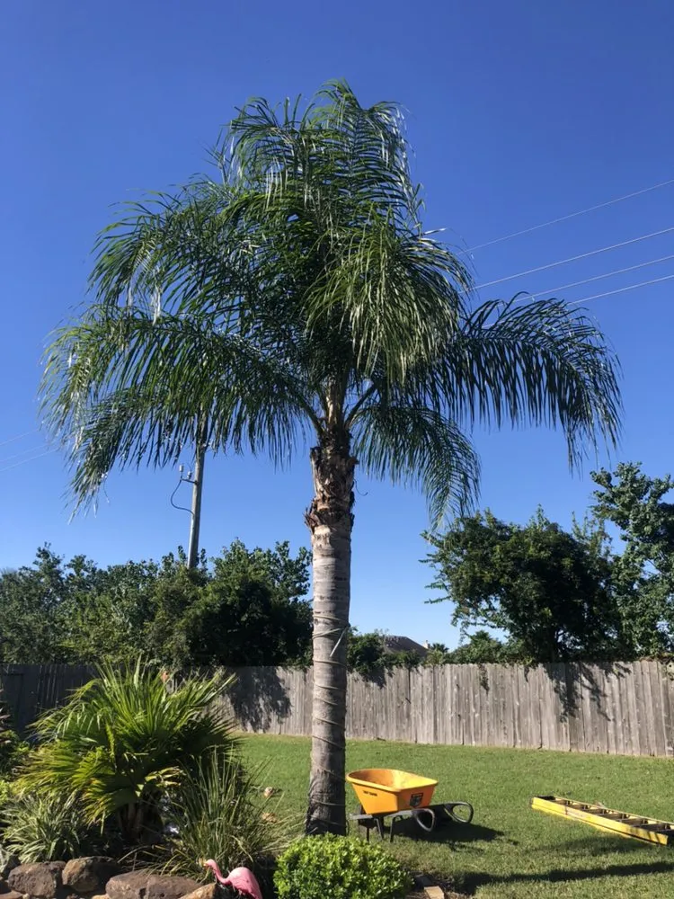 Reliable yard cleanup service experts serving Katy, TX - Hayes Landscape and Exterior Services