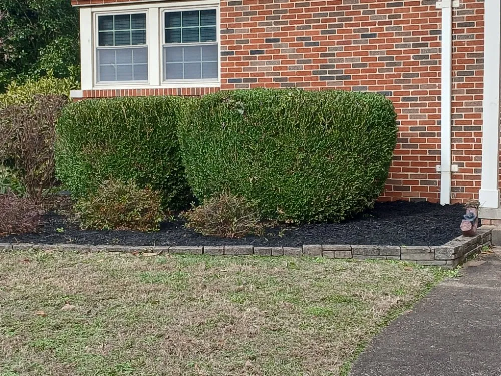 Expert yard maintenance in Ooltewah, TN - Hayes Lawn Care And More