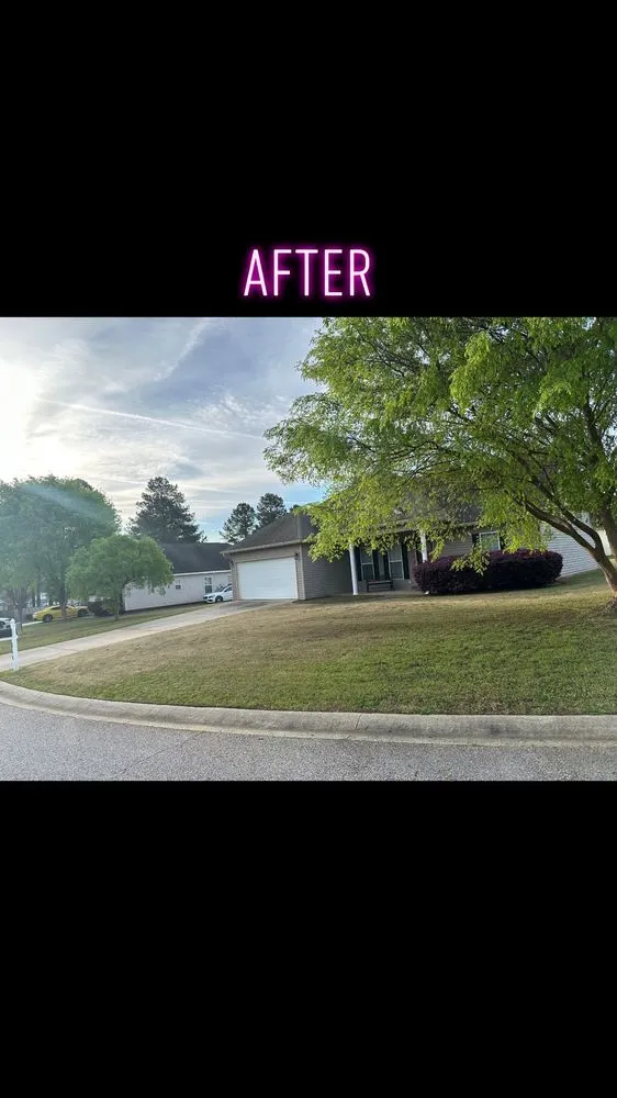 Expert residential landscaping experts serving Byron, GA - Hayes Lawn Care