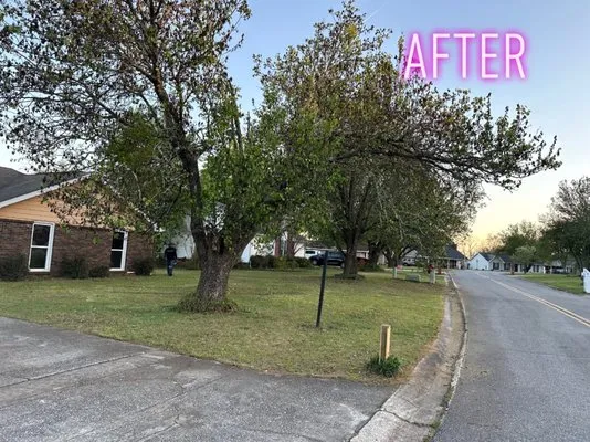 Hayes Lawn Care Logo