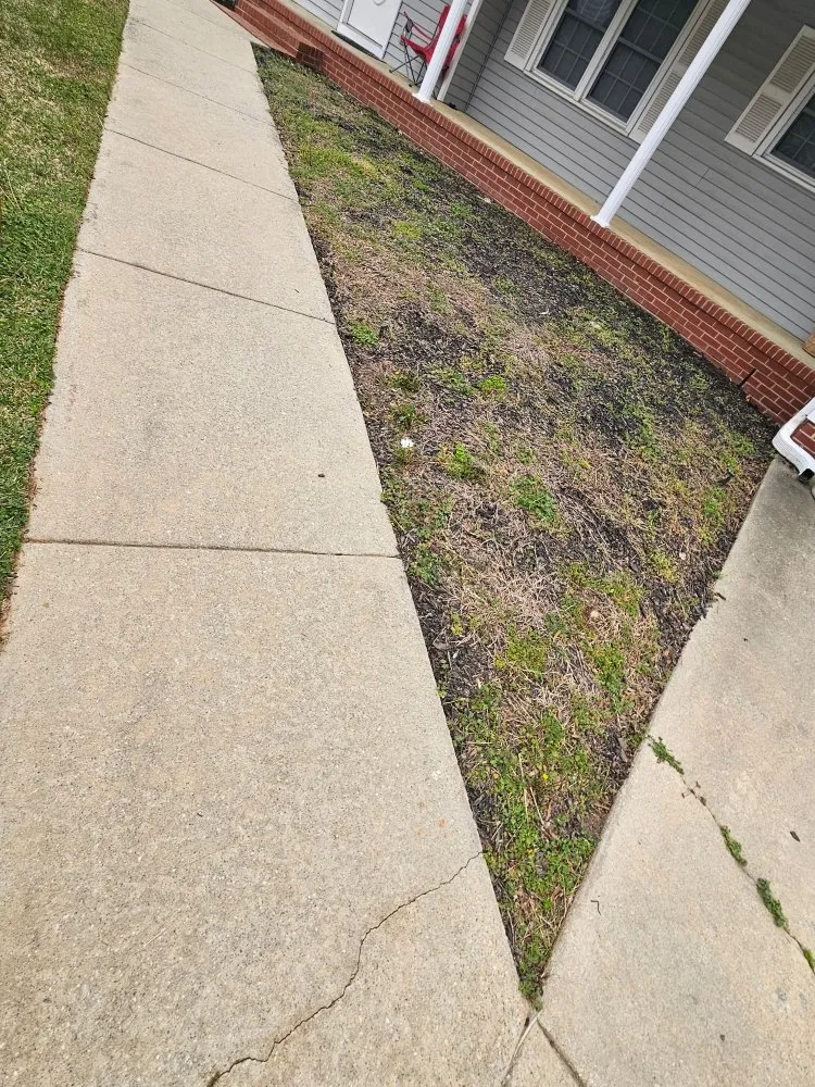 Local residential landscaping in Greenwood, SC - Hayes Lawn Care Service
