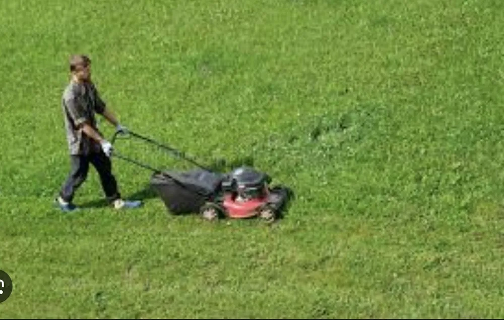 Local yard cleanup service for homes across natchitoches, LA - Hayes Lawn Service and Landscaping Maintenance.