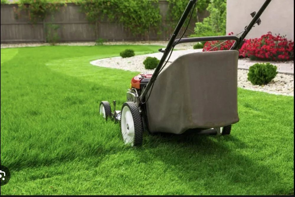 Top-rated yard cleanup service in natchitoches, LA - Hayes Lawn Service and Landscaping Maintenance.