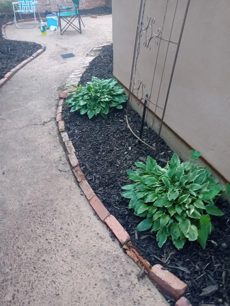 Custom yard maintenance experts serving natchitoches, LA - Hayes Lawn Service and Landscaping Maintenance.