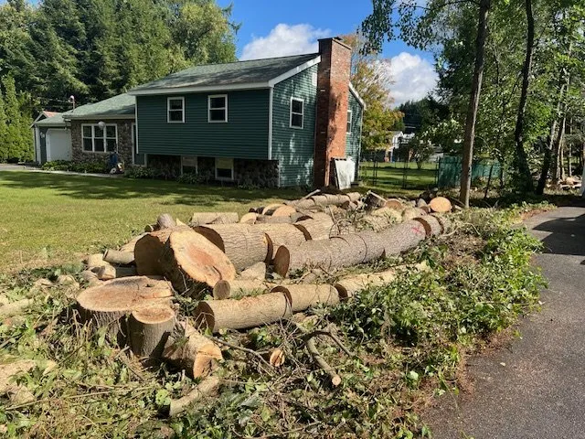 Reliable yard cleanup service near you across Hadley, NY - Hayes Odd Jobs & More