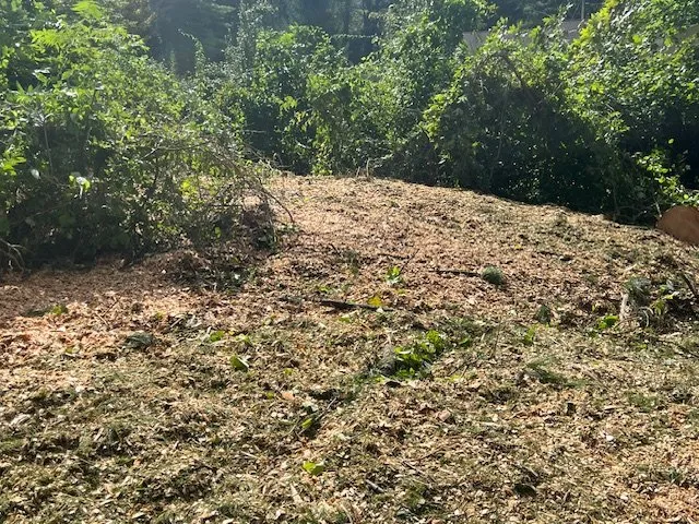 Custom yard maintenance in Hadley, NY - Hayes Odd Jobs & More