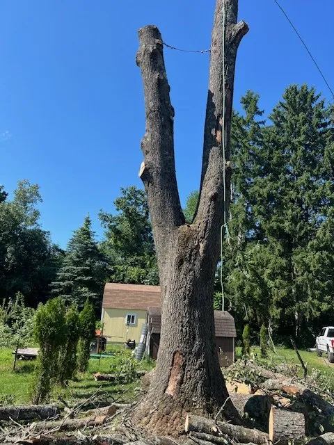 Professional yard cleanup service for beautiful yards across Hadley, NY - Hayes Odd Jobs & More