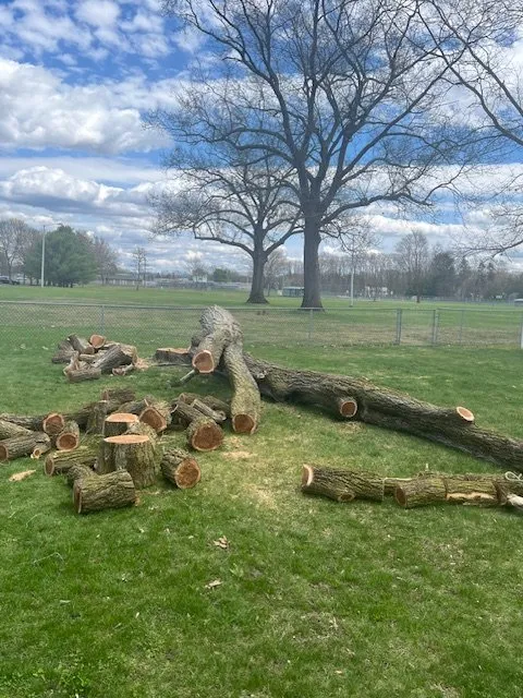 Affordable lawn care service in Hadley, NY by Hayes Odd Jobs & More