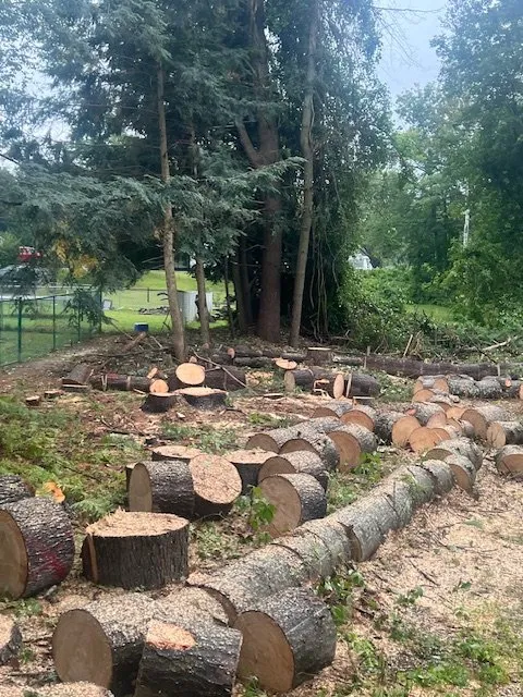 Top-rated landscape design with custom design across Hadley, NY - Hayes Odd Jobs & More