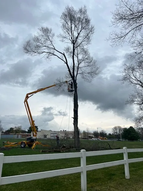 Local residential landscaping in Hadley, NY - Hayes Odd Jobs & More