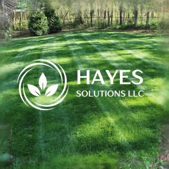 Local yard cleanup service experts serving Cincinnati, OH - Hayes Solutions