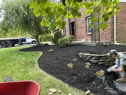 Hayes Solutions Logo