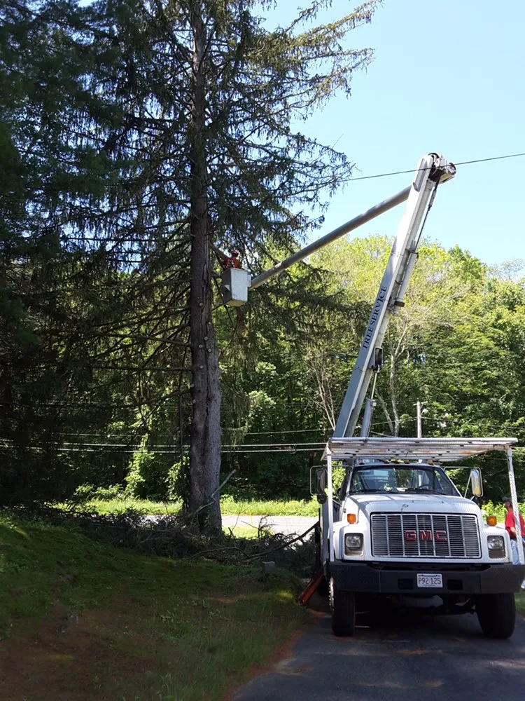Trusted residential landscaping in Brookfield, MA by Hayes Tree Care