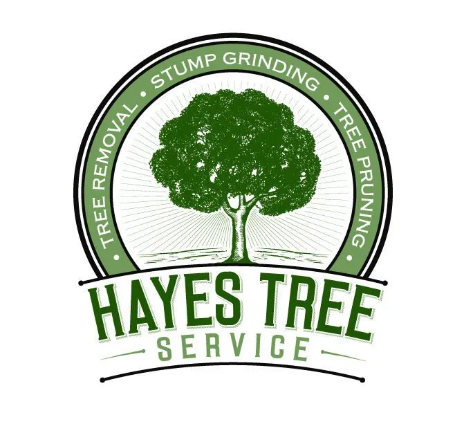 Professional residential landscaping in Brookfield, MA by Hayes Tree Care
