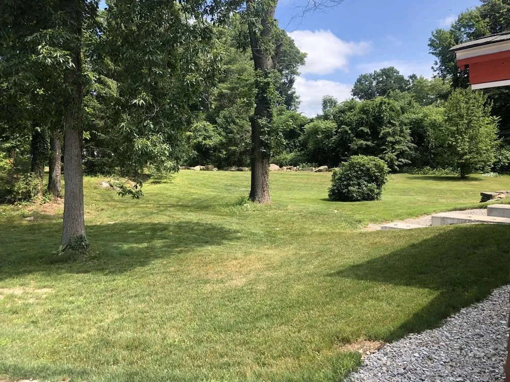 Affordable yard maintenance near you in Brookfield, MA by Hayes Tree Care