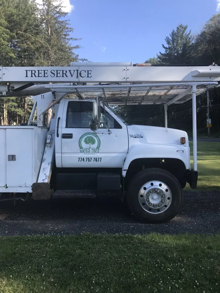 Professional yard maintenance in Brookfield, MA - Hayes Tree Care