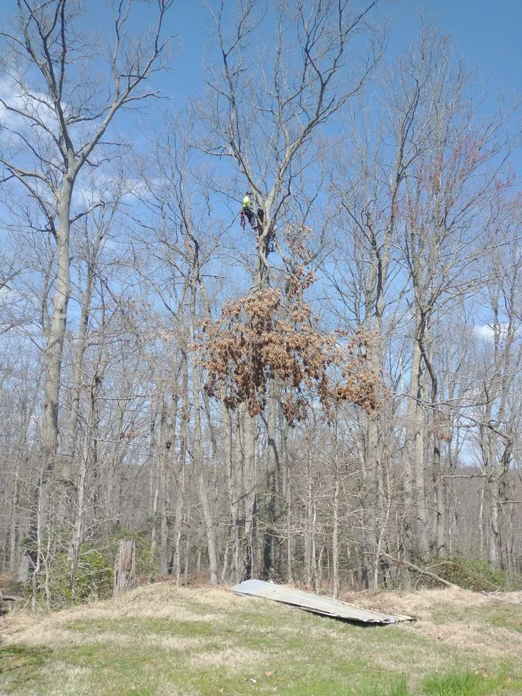 Trusted landscaping services near you in North East, MD by Hayes Tree Service