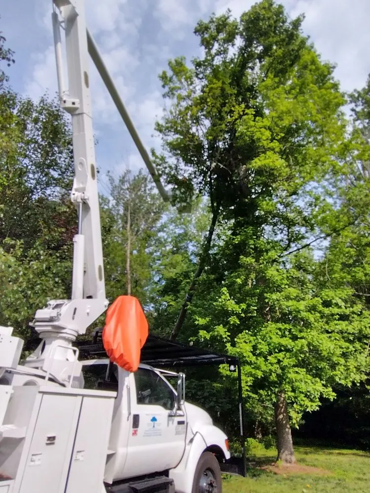 Custom lawn care service for outdoor upgrades in North East, MD by Hayes Tree Service