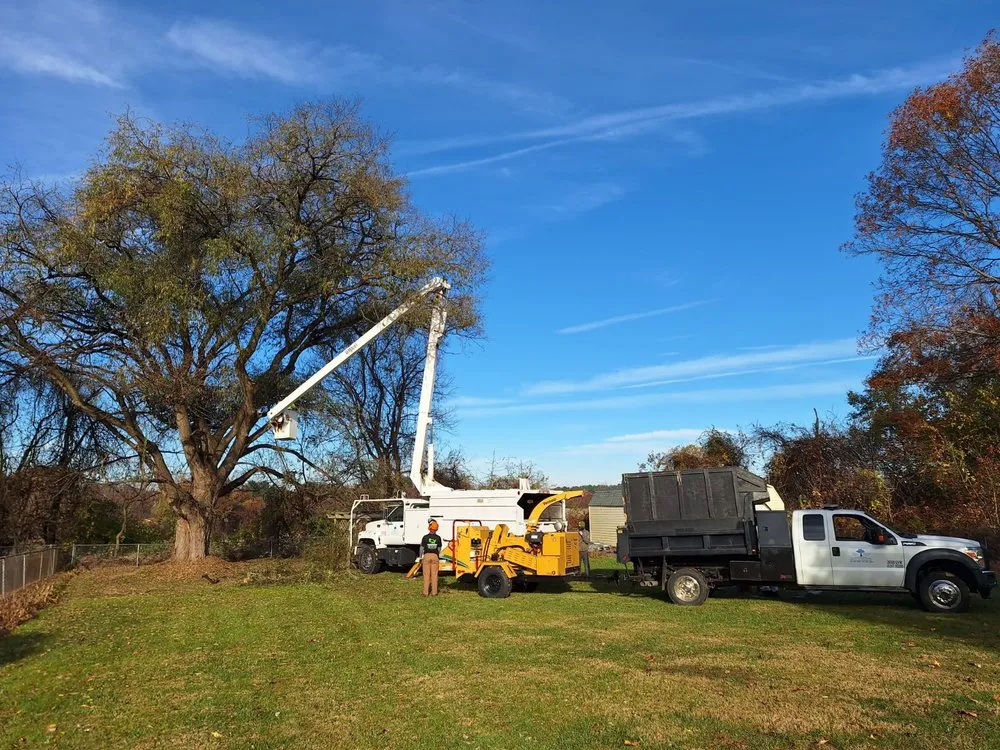 Reliable lawn mowing service in North East, MD by Hayes Tree Service