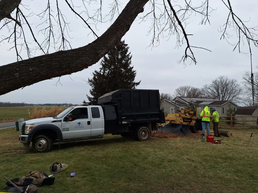 Expert lawn mowing service in North East, MD - Hayes Tree Service