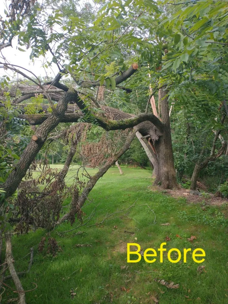 Professional lawn mowing service for year-round maintenance in North East, MD by Hayes Tree Service