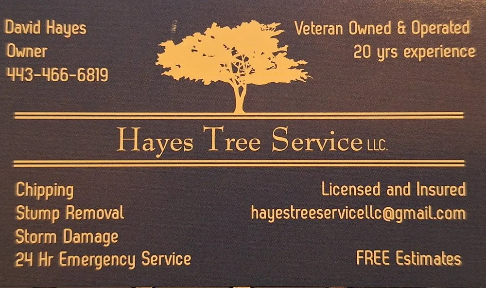 Professional landscape design in North East, MD - Hayes Tree Service