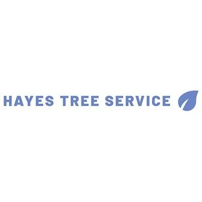Reliable landscaping services for beautiful yards across North East, MD - Hayes Tree Service