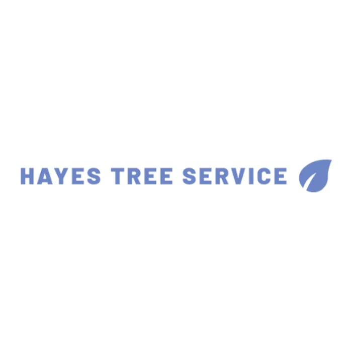 Expert lawn mowing service in North East, MD - Hayes Tree Service