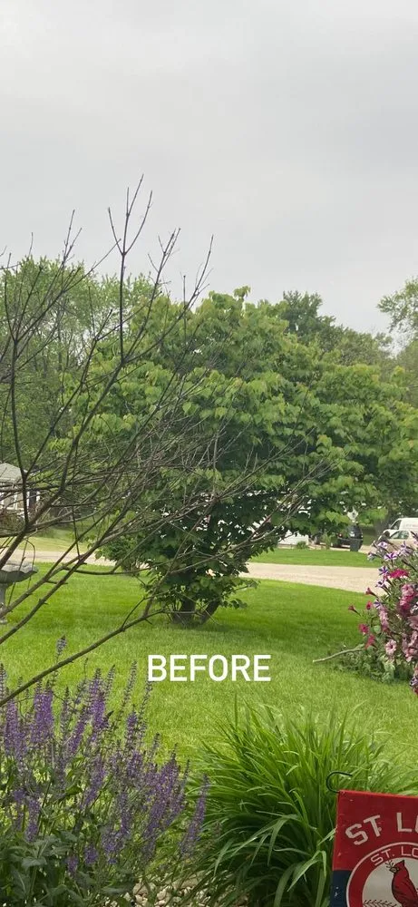 Custom yard maintenance for homes in Peoria, IL by HayesMovingandLawncare