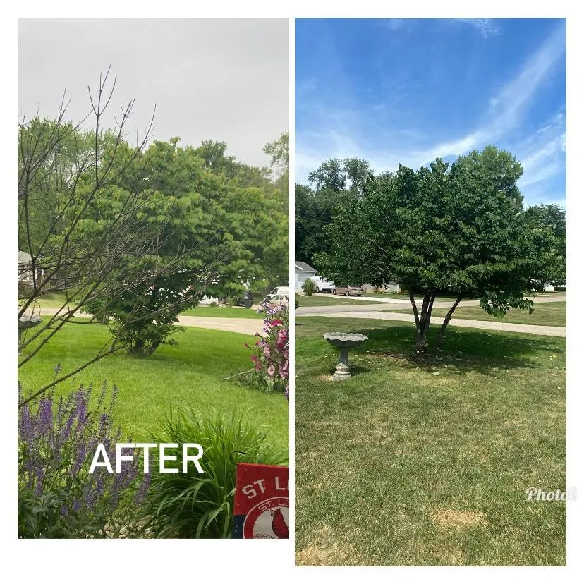 Top-rated lawn mowing service in Peoria, IL by HayesMovingandLawncare