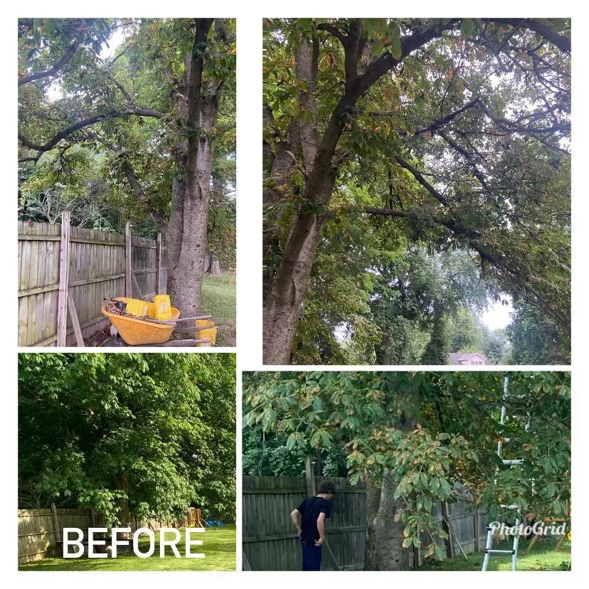 Top-rated residential landscaping for beautiful yards in Peoria, IL by HayesMovingandLawncare