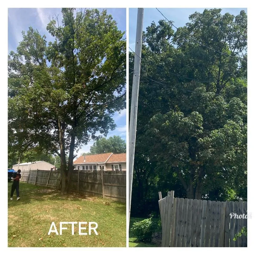 Local lawn care service in Peoria, IL - HayesMovingandLawncare