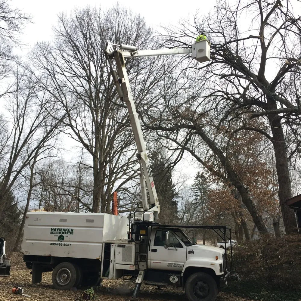 Custom landscaping services experts serving North Canton, OH - Haymaker Tree and Lawn